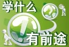 学什么有前途
